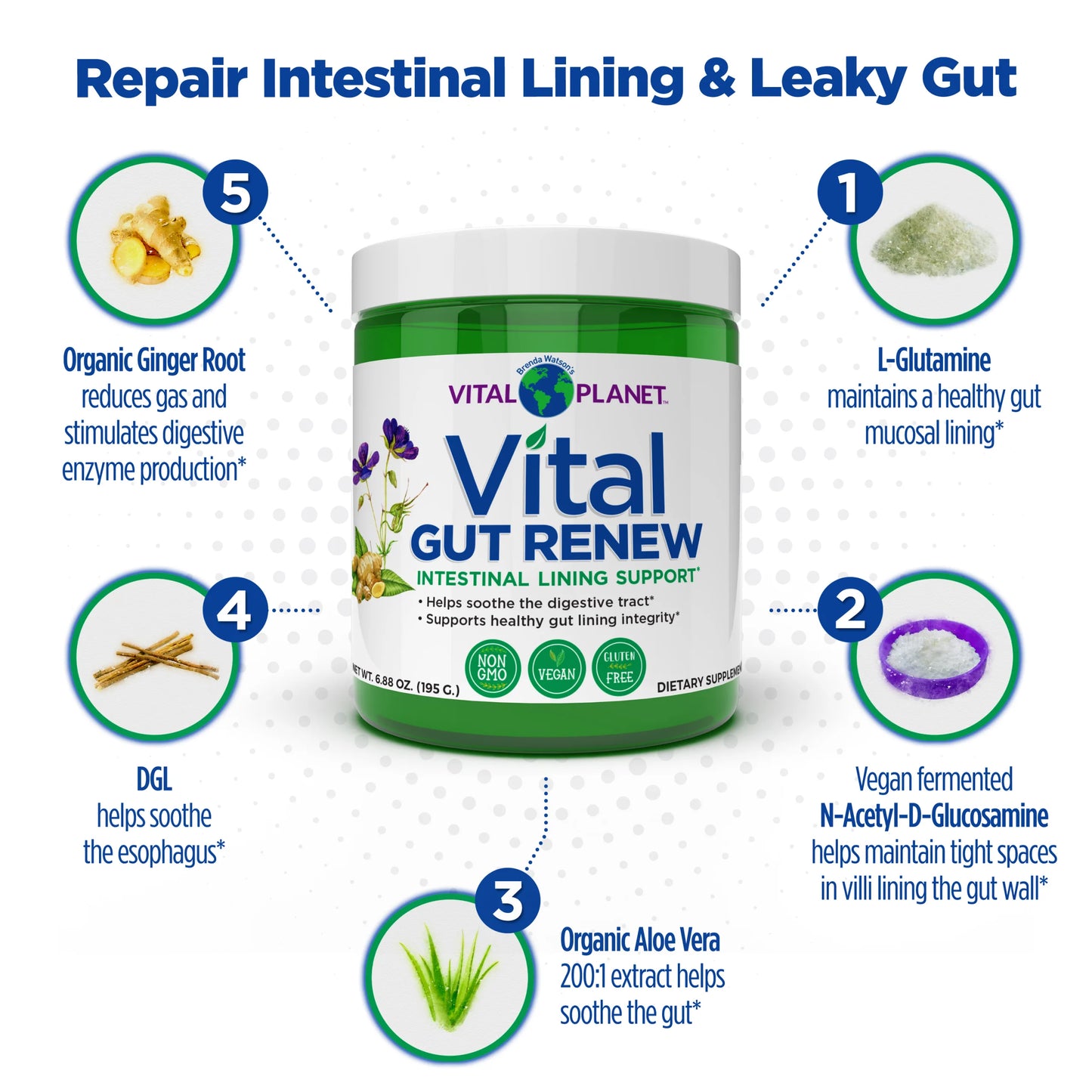 Vital GUT RENEW